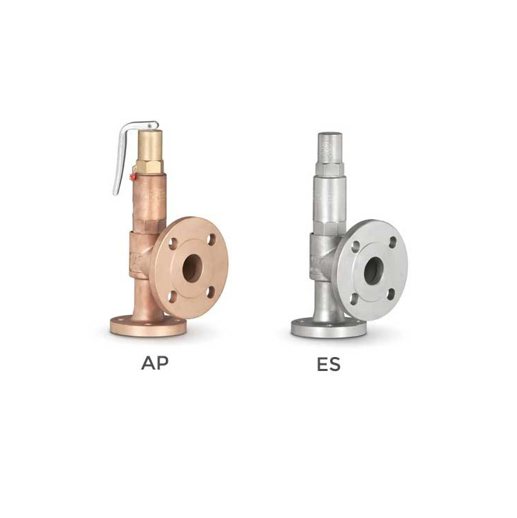 Flanged normal safety valves with spring loading model 296
