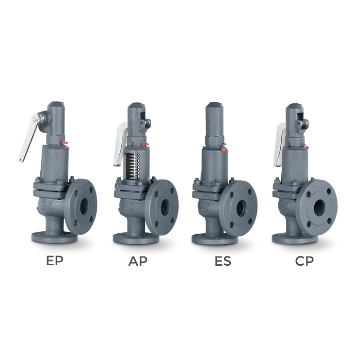Flanged normal safety valves with spring loading model 494