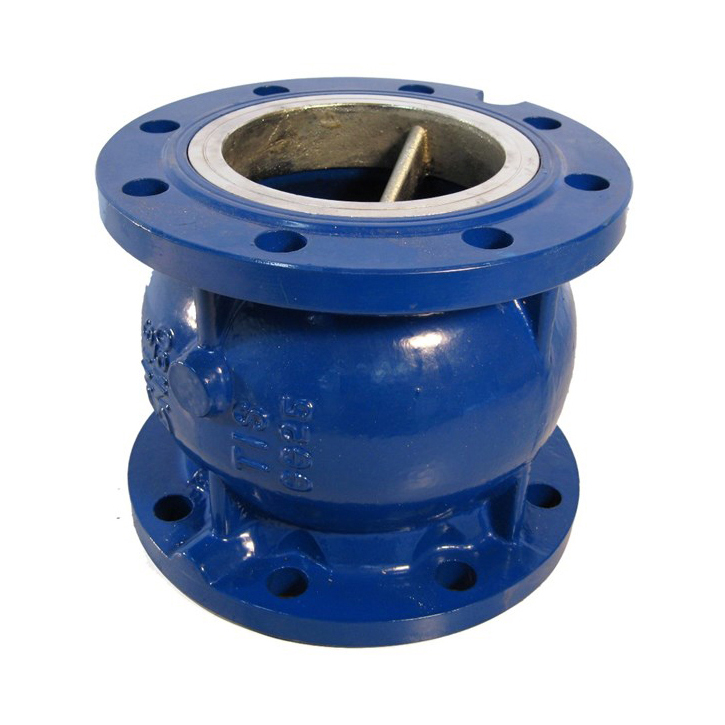 Axial_1 Axial disc check valve