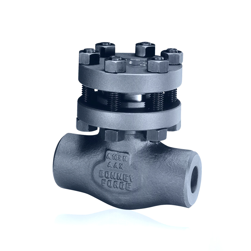 BFE-check2 BFE swing check valves