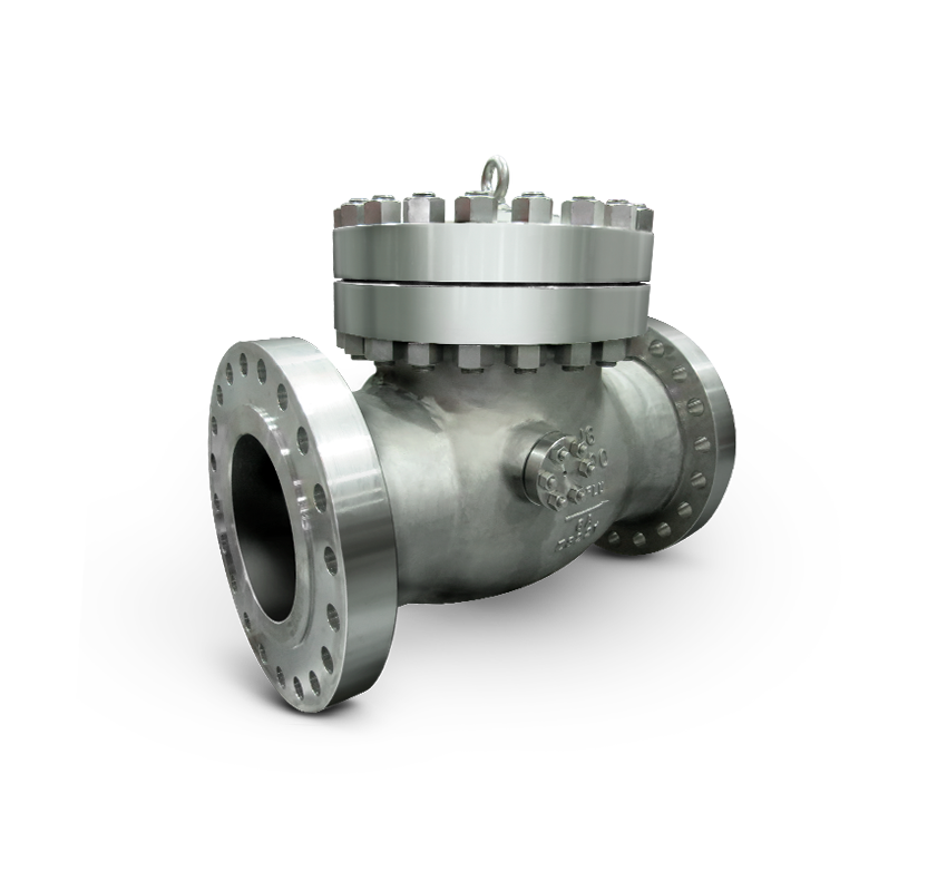 Check valve Arflu Check Valve
