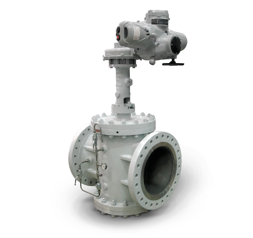 Arflu dual expanding plug valves double block and bleed
