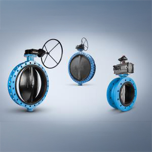 Soft seated butterfly valves