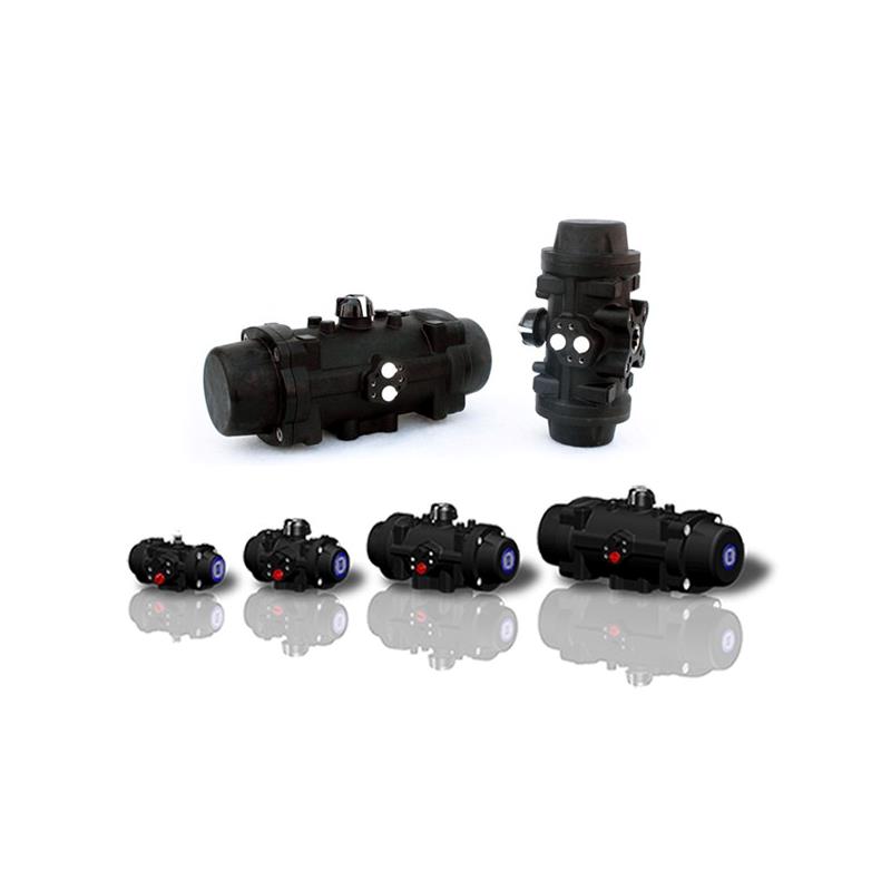PrismaPneumatic Polyamide Actuators
