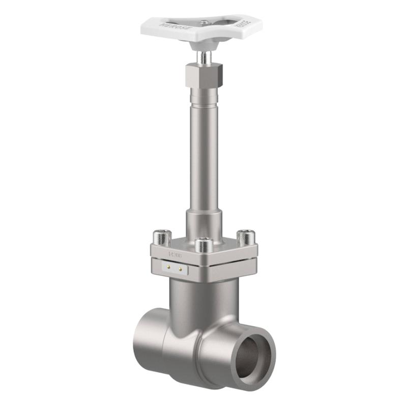 Herose Cryogenic Gate Valves