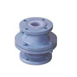 Rasaii Lined Check Valves