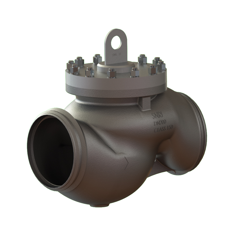 SNRI Check Valve