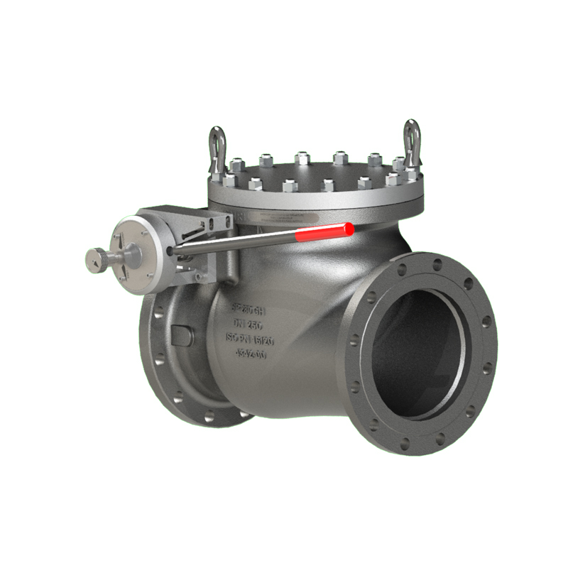 SNRI Positive Safety Swing Check Valves