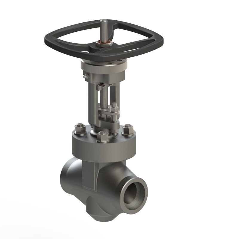 SNRI Globe valve