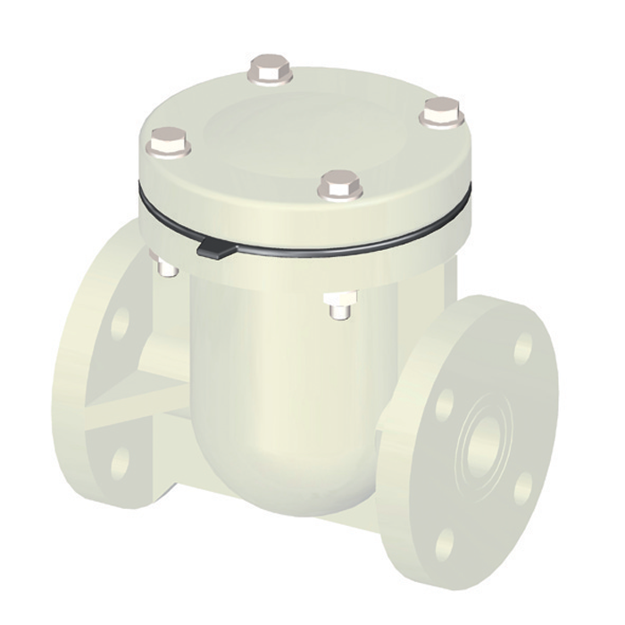 Safi thermoplastic check valves