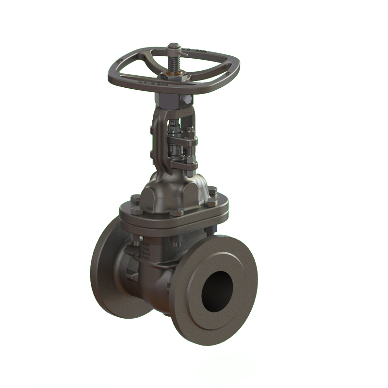 SNRI Gate Valve