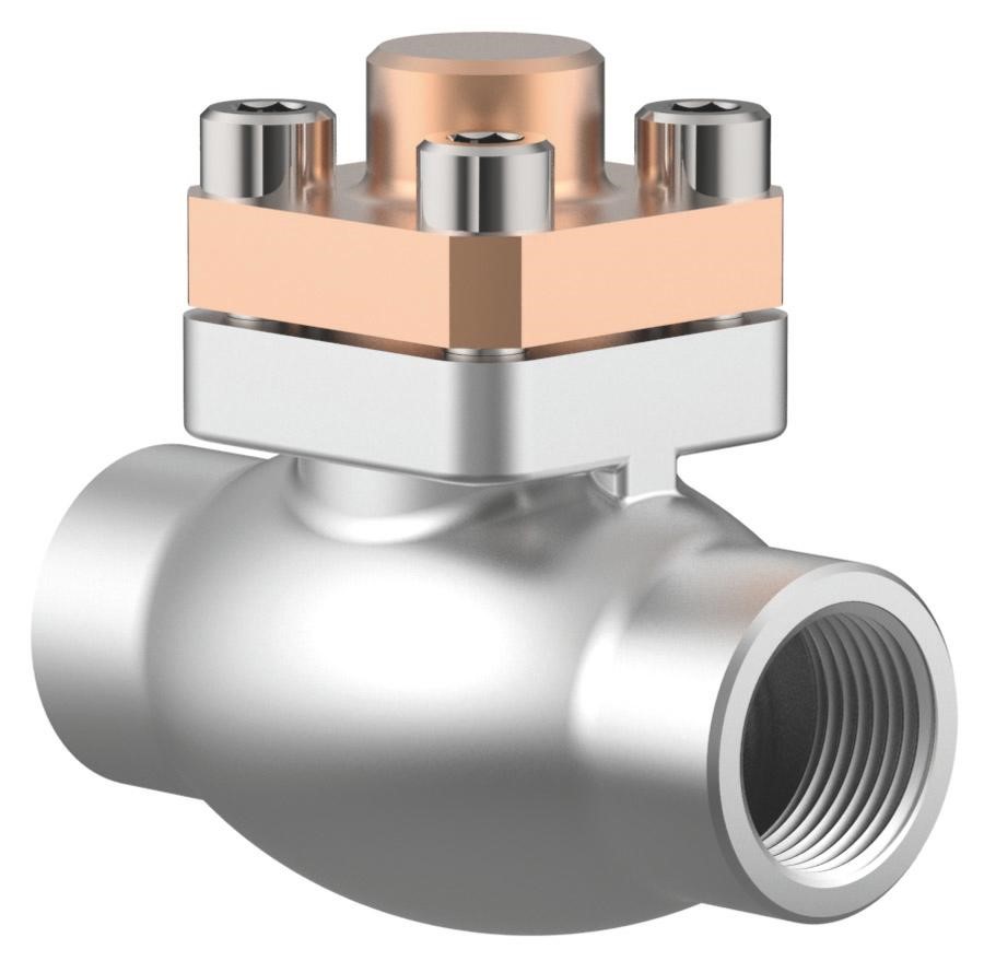 Herose Cryogenic Check Valves