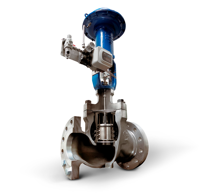 Arflu globe control valve